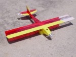 <b>Radical RC E-HORNET</b>