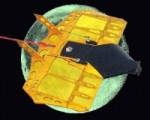 <b>Radical RC Wicked Wing</b>