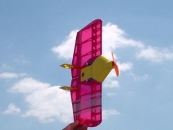 <b>Radical RC Quick Wing 12mm</b>
