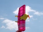 Radical RC Quick Wing 12mm