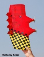 Quick Wing 20mm "Double Trouble"