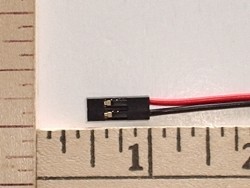 JWT Female Pigtail