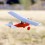 928 Pietenpol Air Camper (100) by Stevens AeroModel