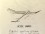 Jesse James F1H Towline Glider 46"