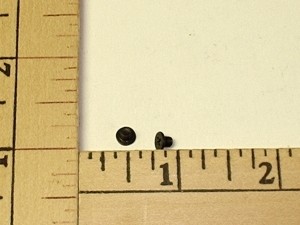 Screws/Fasteners