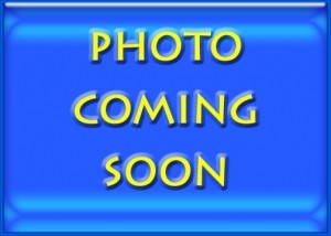 Sonic Tronics 2 Inch Park Flyer Wheels - LAST PAIR!