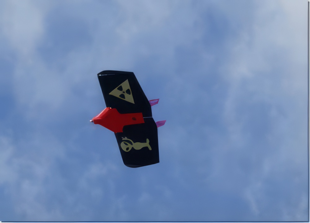 Radical RC Quick Wing 20mm