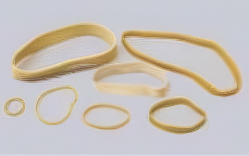 Sig #64, 3.5" Rubber Bands, 1/4 LB