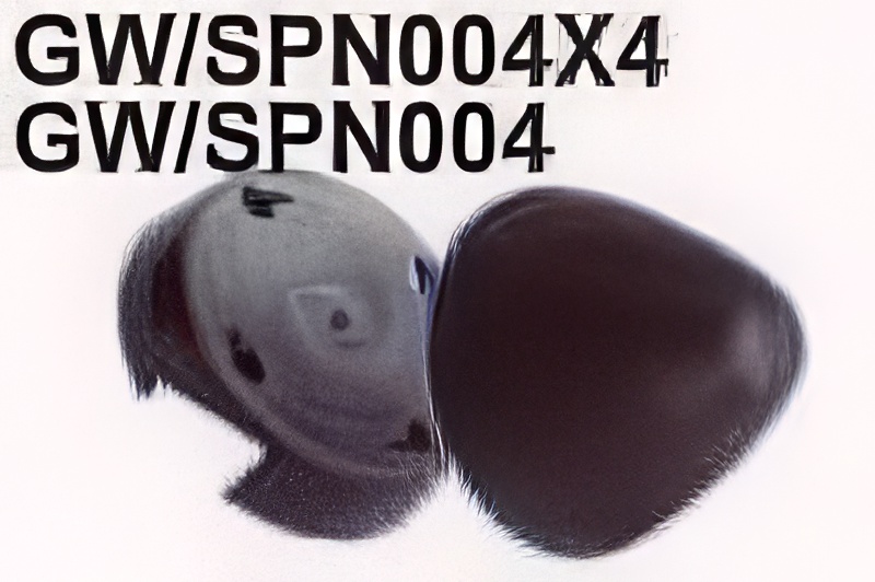 GWS 2-Blade 55.5mm Spinner