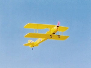 Find Tiger Moth at Radical RC